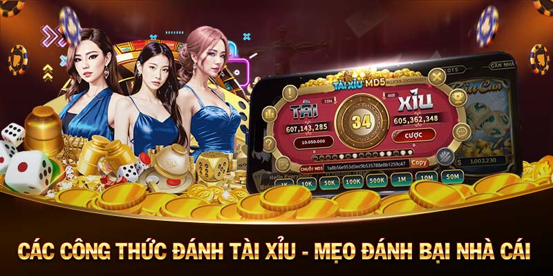 Keo Ca Cuoc - Betting Odds Comparison