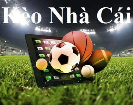 Trang Cá Độ Bóng Đá An Toàn Hàng Đầu – Không Lo Lừa Đảo