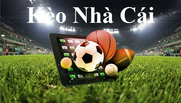 Trang Cá Độ Bóng Đá An Toàn Hàng Đầu - Không Lo Lừa Đảo
